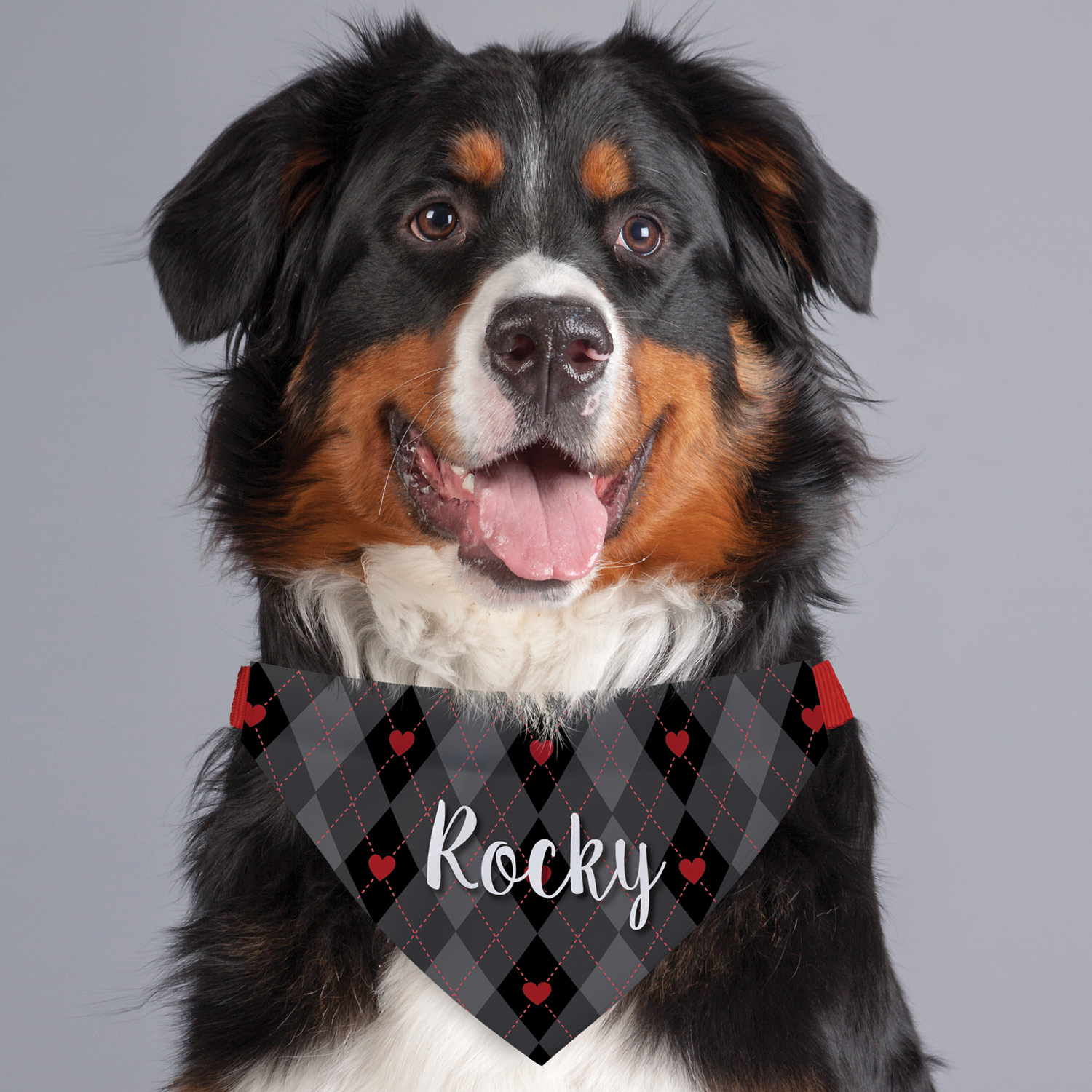 Black & Gray Heart Argyle Personalized Dog Bandana