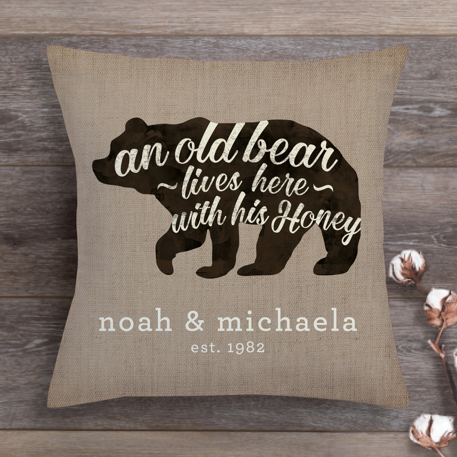 An Old Bear and His Honey Throw Pillow