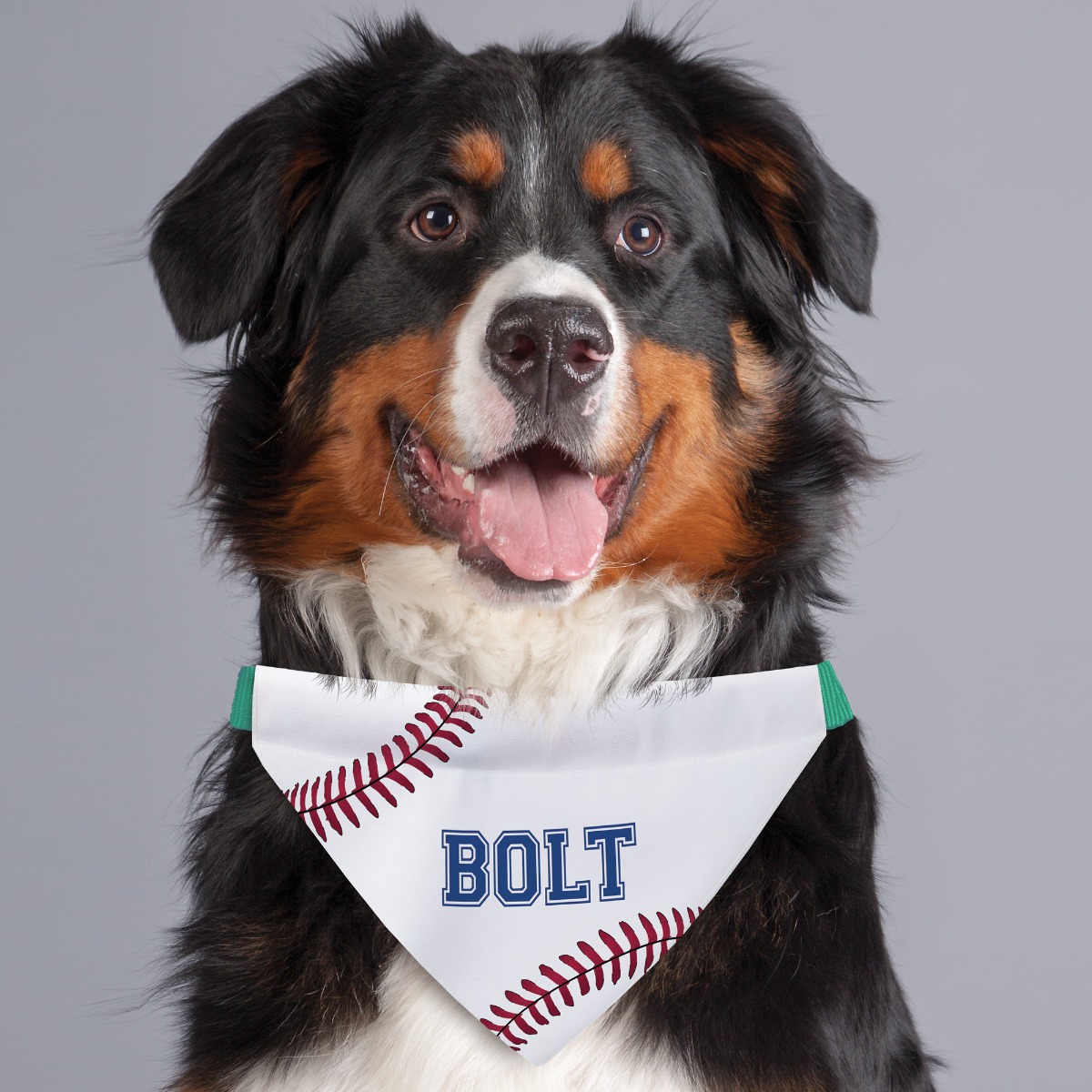 Classic Baseball Stitches Dog Bandana